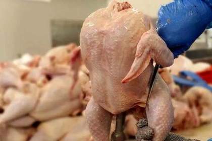 تفاوت عجیب قیمت مرغ بین ۲ استان/رانت چند میلیاردی در بازار