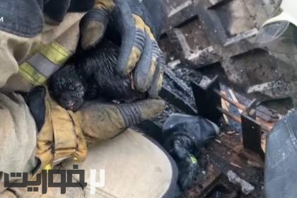 آتش نشانان پنج توله سگ را از آتش سوزی نجات دادند