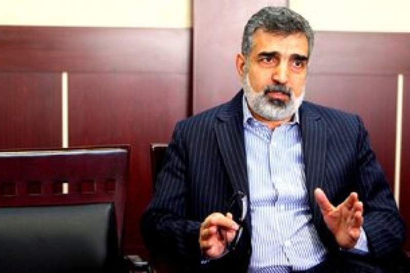 کمالوندی: بازرسان آژانس بر تعویض سوخت نیروگاه اتمی بوشهر نظارت می‌کنند