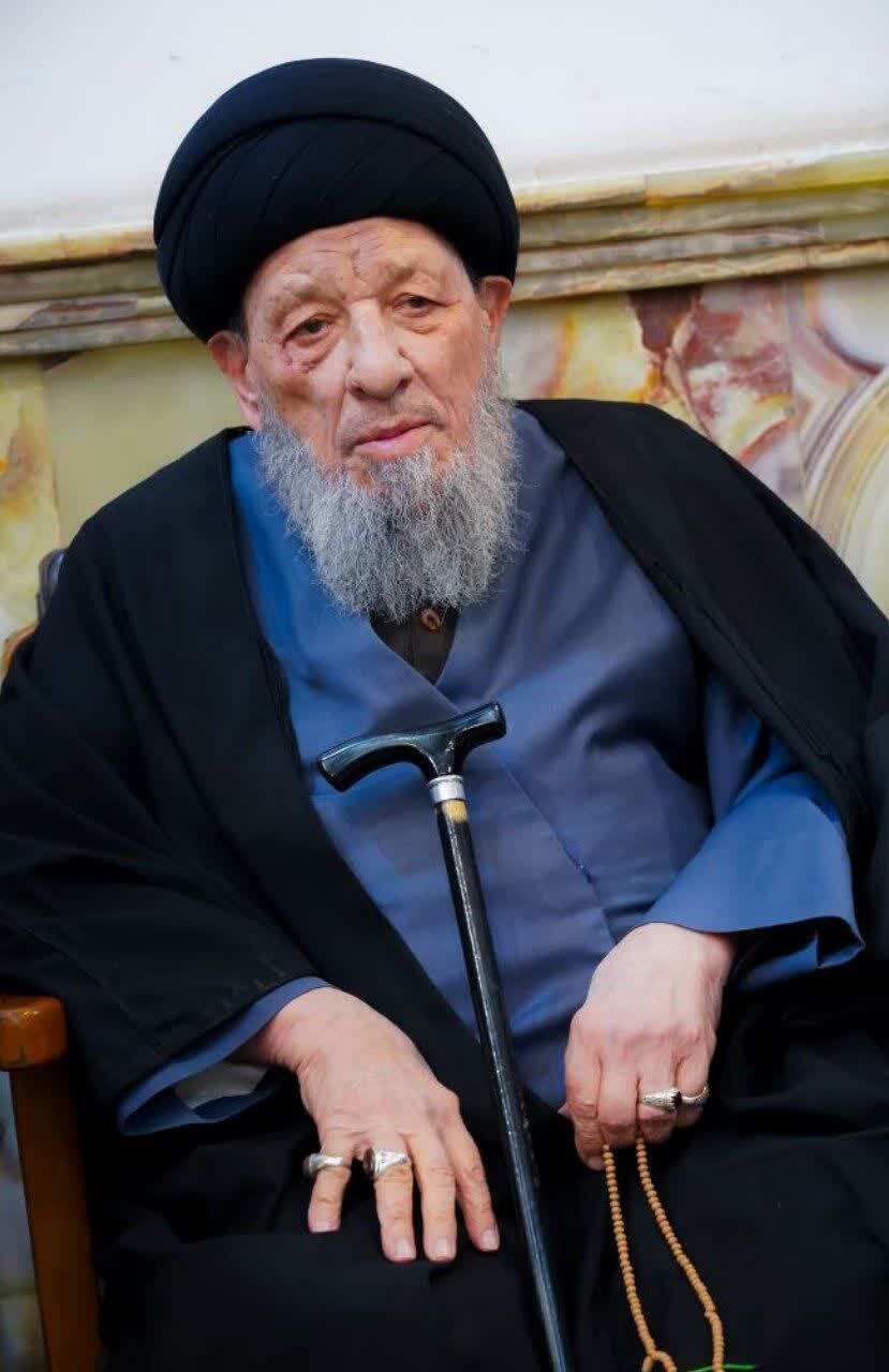آیت الله سید محمدتقی حکیم کیست؟